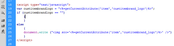 Www variablevisions E commerce NetSuite IF ELSE statements